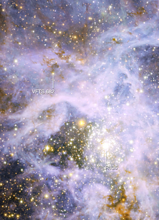 Gigantic Star Shines Brightly, But Is a Loner